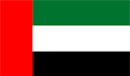 Dubai Team Logo