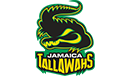 Jamaica Tallawahs Team Logo