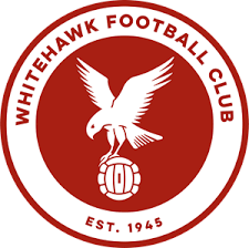 Whitehawk